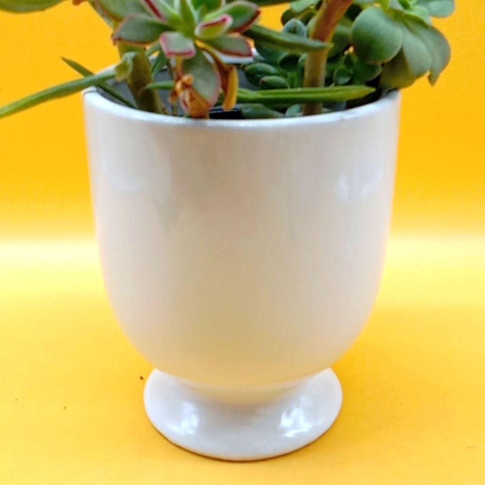 Ceramic Face Planter - Picture 4 of 8
